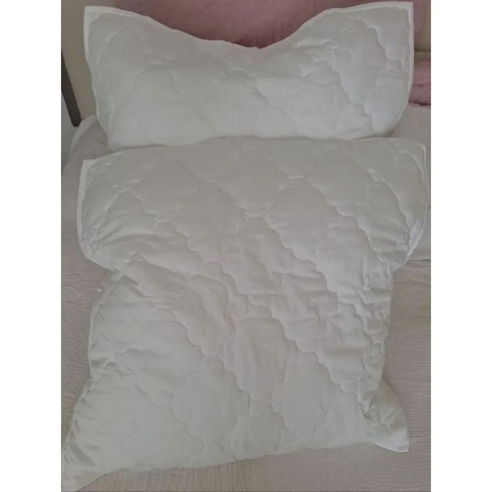 NWT Martha Stewart Pair Egyptian XL White Shams
